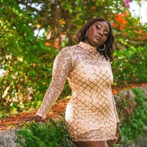 Iris Clothing Company Medium Sheer Sequence Dress